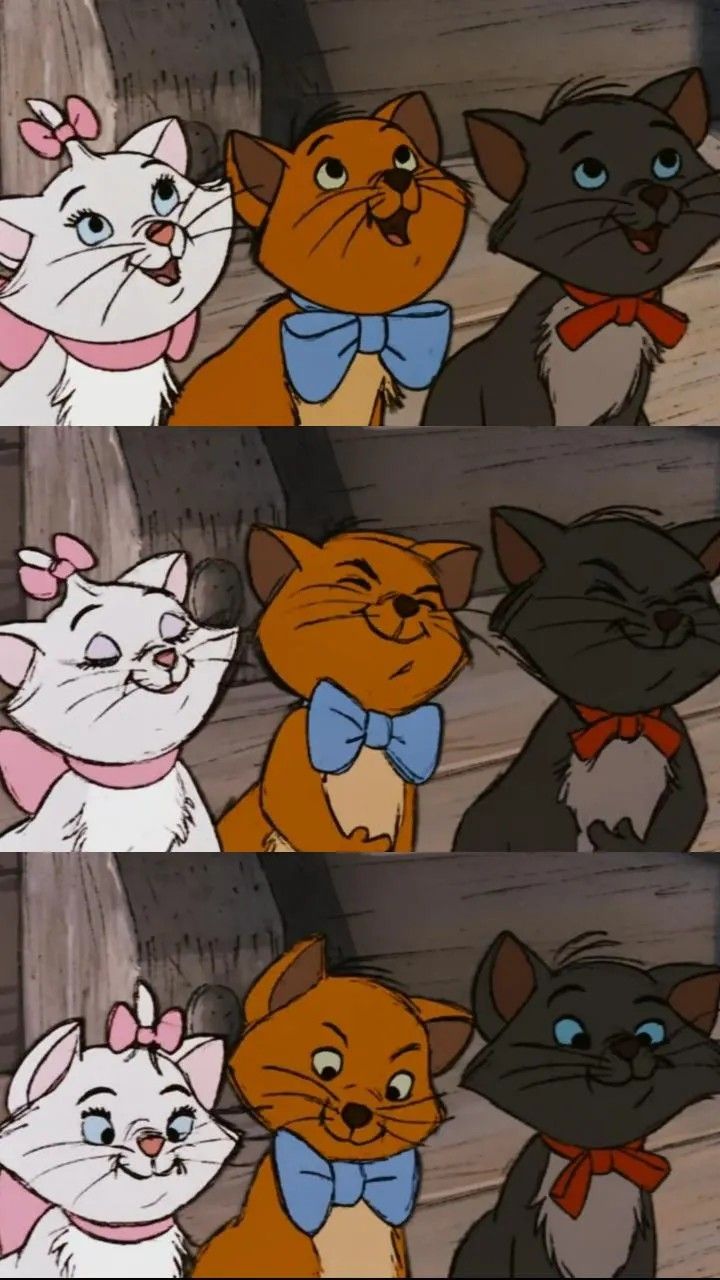 Boîte Mystère Aristochats