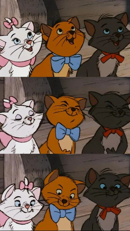 Boîte Mystère Aristochats