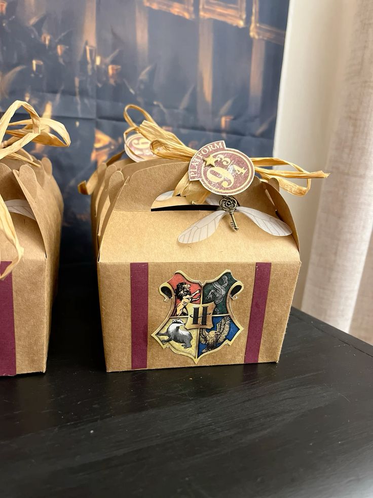 Harry Potter-Paquet mystère choux à cheveux